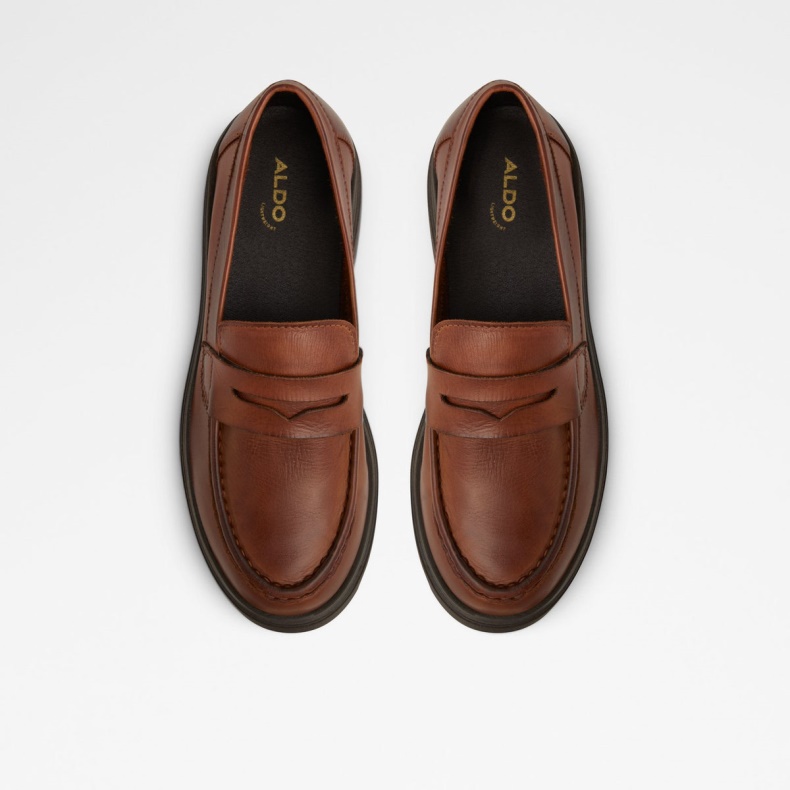 Biglect Loafer Aldo