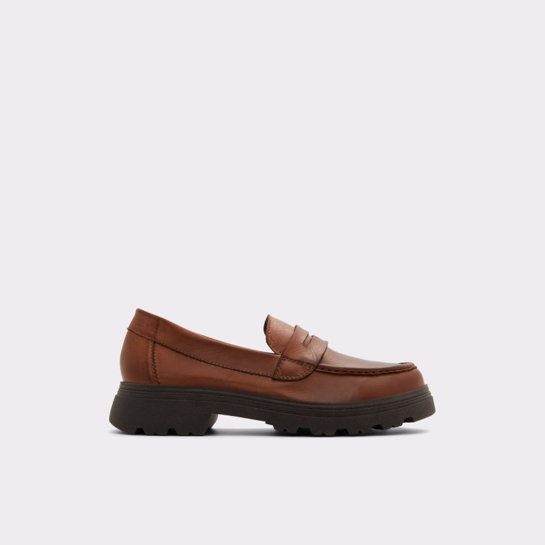 Brun Mode Aldo Biglect Loafer