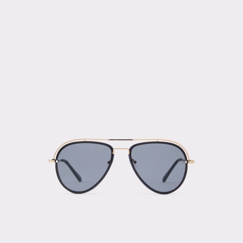 Fashion Aldo Areavia Solbriller Sort