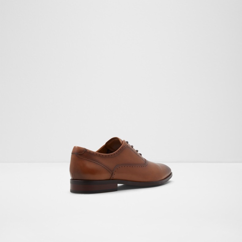 Cognac Aldo Mode Cardiff Oxford Sko