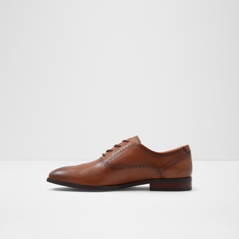 Cognac Aldo Mode Cardiff Oxford Sko