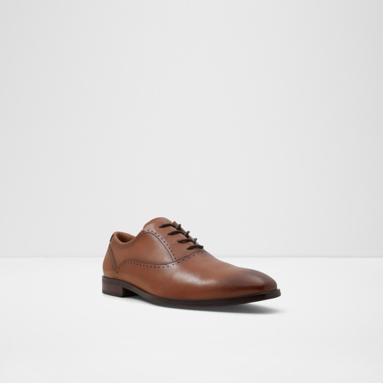 Cognac Aldo Mode Cardiff Oxford Sko