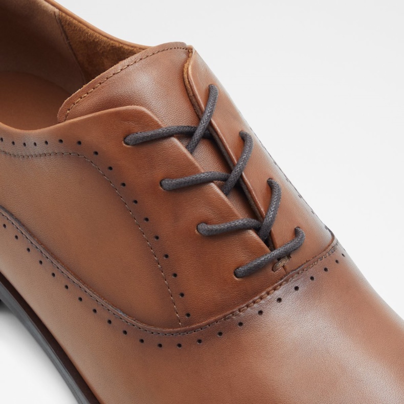 Cognac Aldo Mode Cardiff Oxford Sko