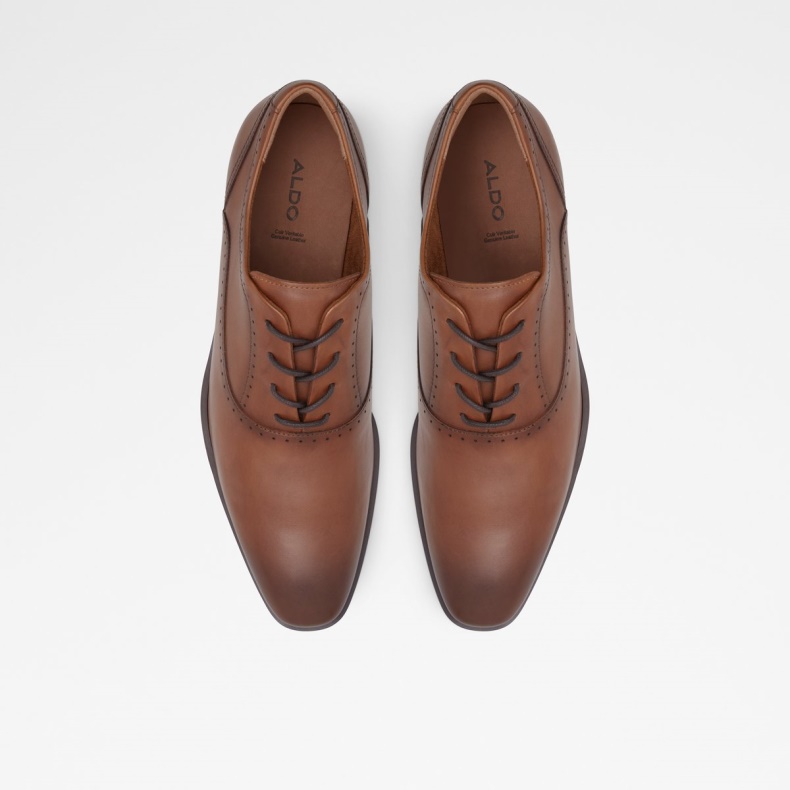 Cognac Aldo Mode Cardiff Oxford Sko