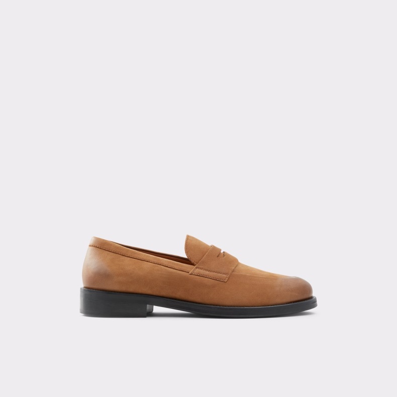 Medium Brun Aldo Fashion Duke Loafer
