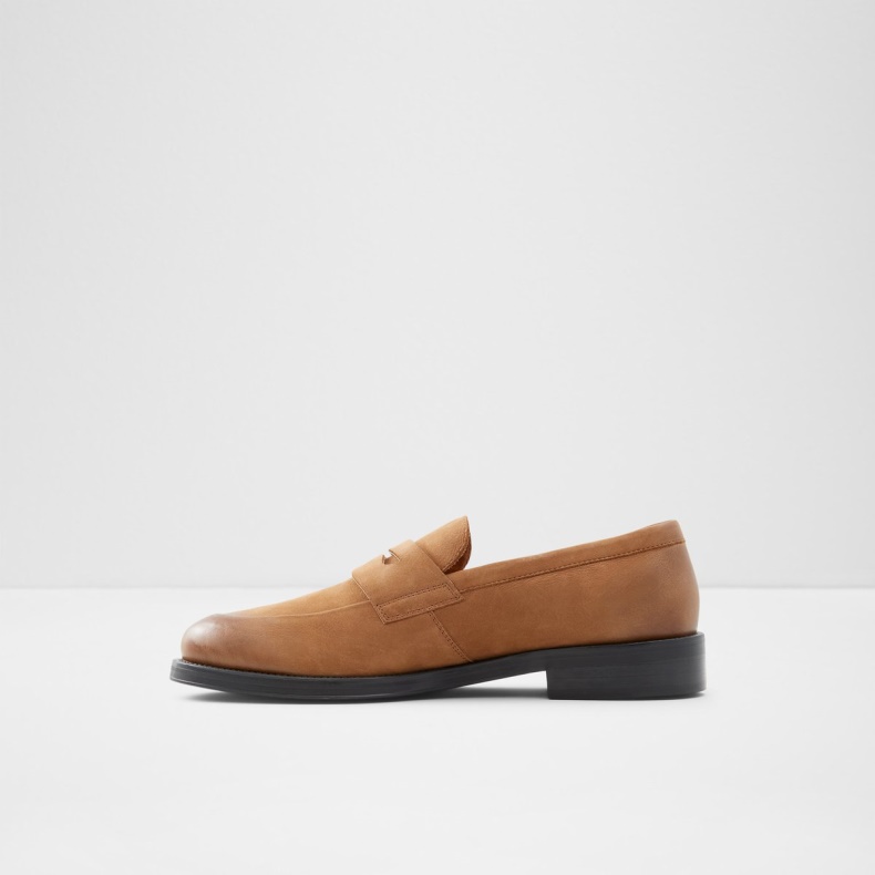 Medium Brun Aldo Fashion Duke Loafer