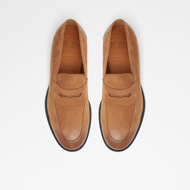 Medium Brun Aldo Fashion Duke Loafer