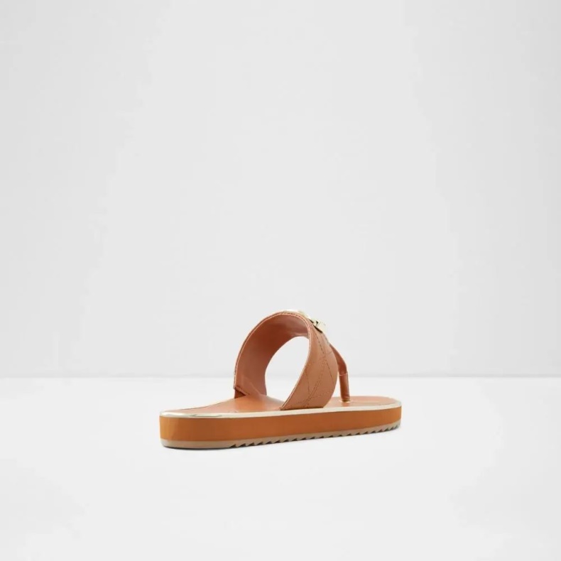 Mode Mellembrun Searene Damestrengs Strandsandaler Aldo