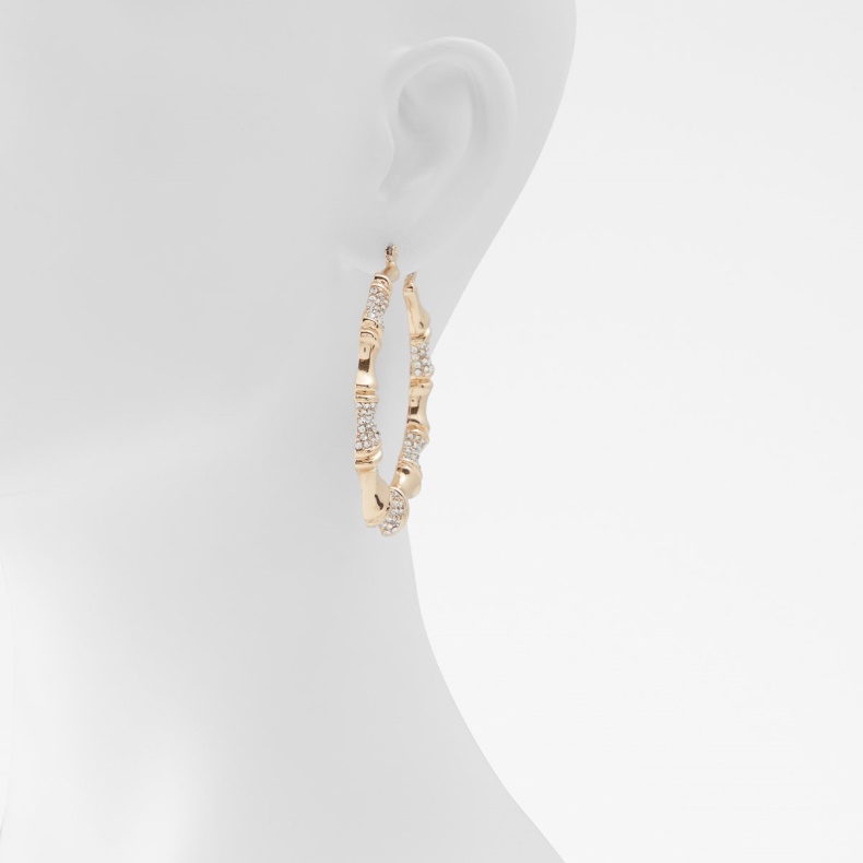 Aldo Gold-clear Multi Fashion Sidste Chance Farndon øreringe