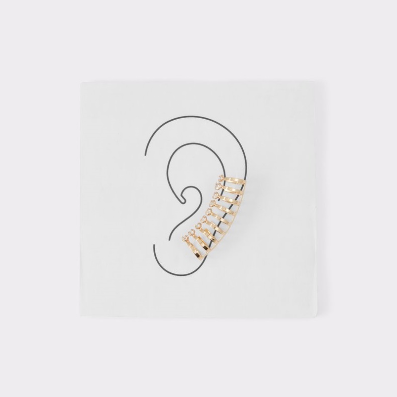 Fashion Aldo Guld-klar Multi Haotha