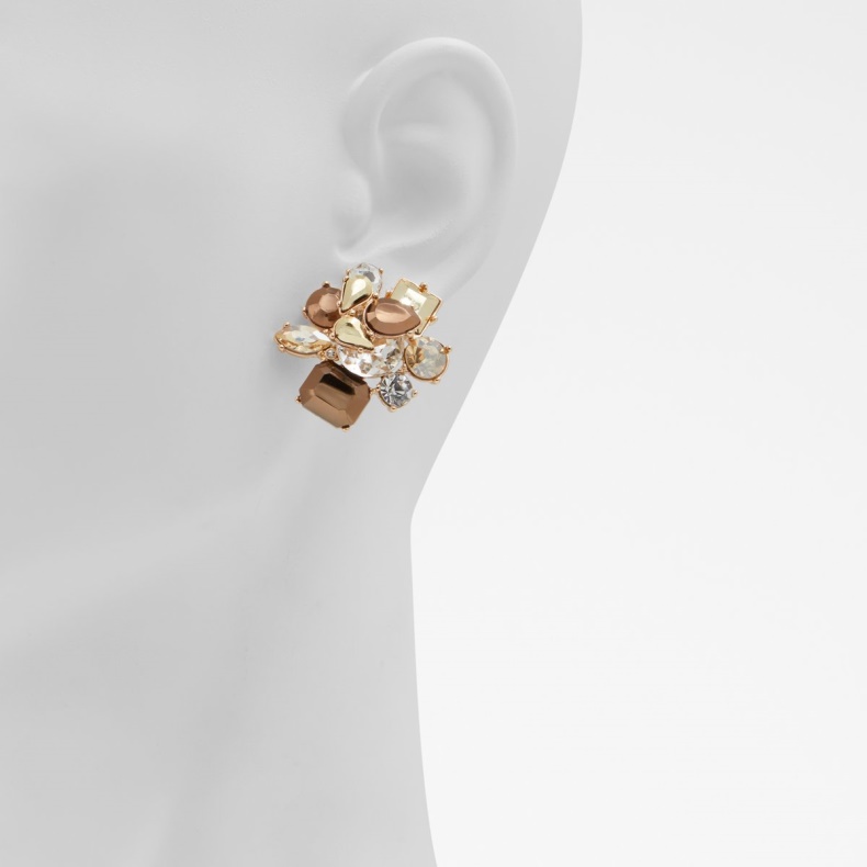 Mode Bronze Sidste Chance Malamocco Statement øreringe Aldo