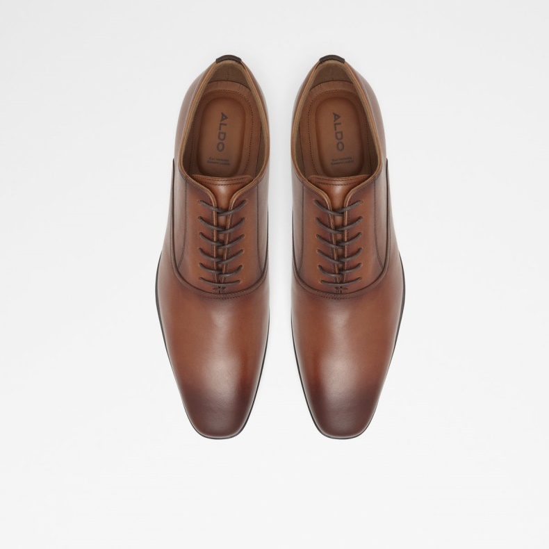 Nathon Oxford Sko Mode Cognac Aldo