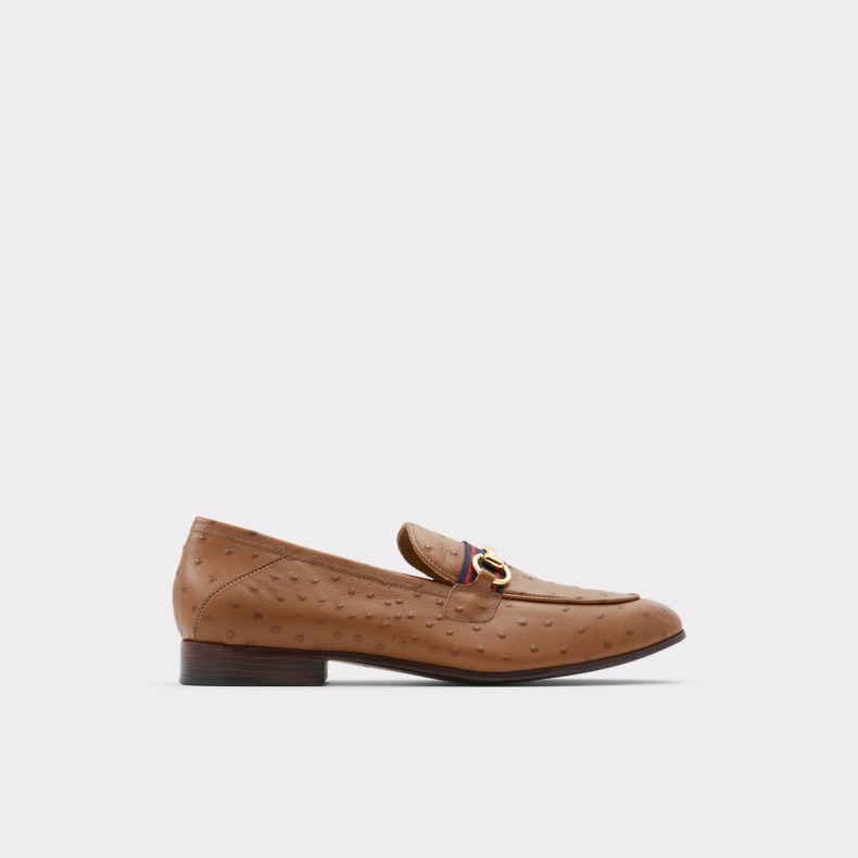 Brun Trywen Loafer Fashion Aldo
