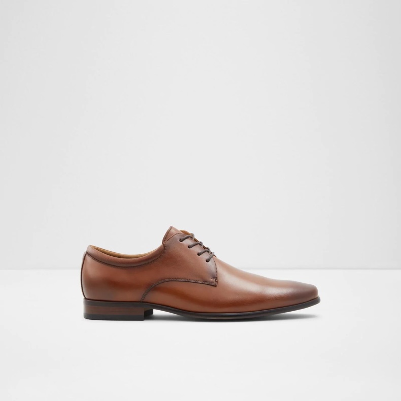 Brune Mode Aldo Noicien-w Oxfords Og Snørebånd