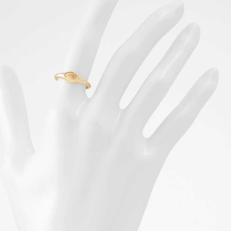 Mode Aldo Jerira Ringe Guld