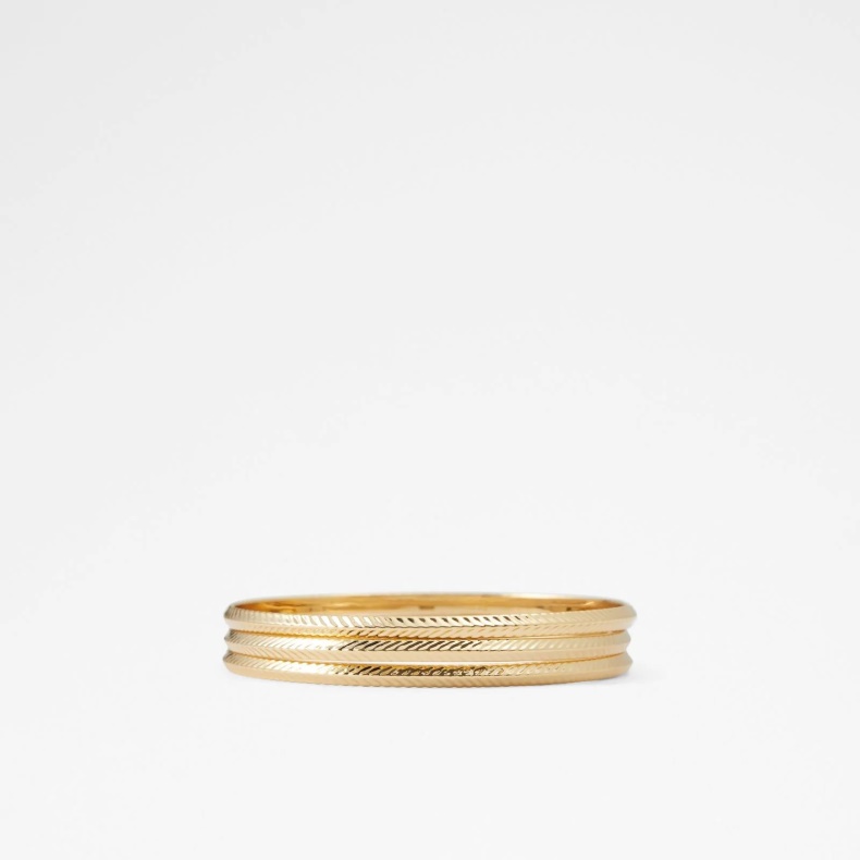 Mode Aldo Manenaclya Armbånd Guld