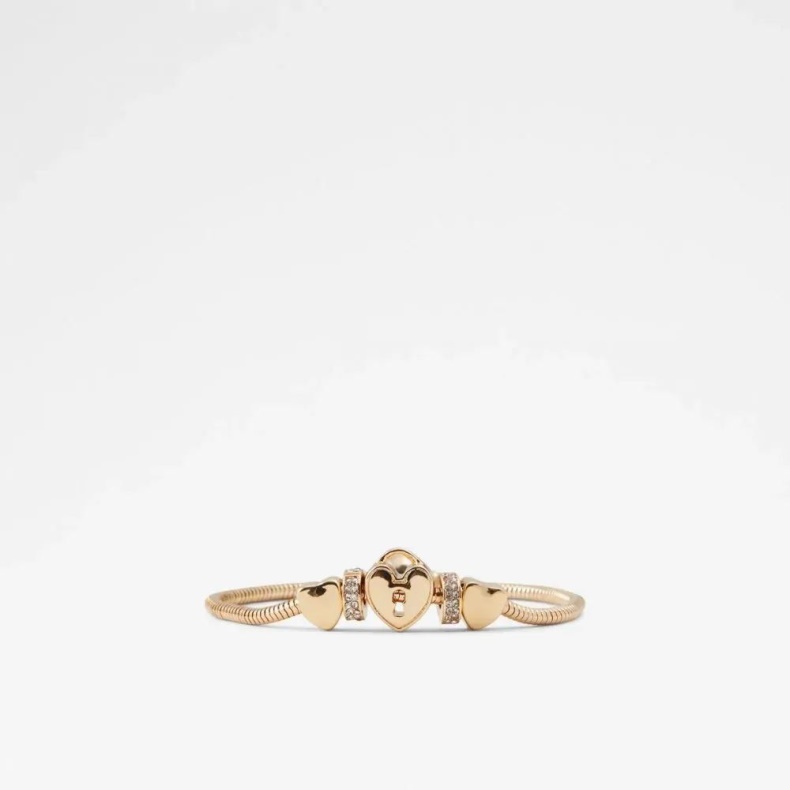 Guld Multi Fashion Aldo Alodederiel Armbånd Med Tilbehør Til Kvinder