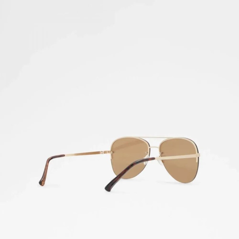 Guld Ascaride Mænds Tilbehør Solbriller Mode Aldo