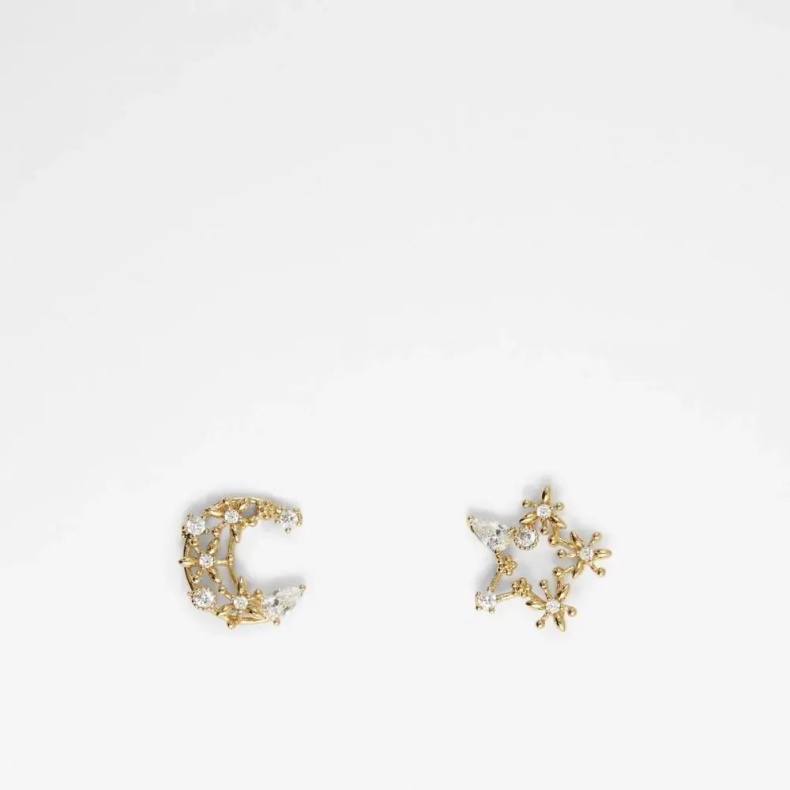 Aldo Fashion Paysa øreringe Med Tilbehør Til Kvinder