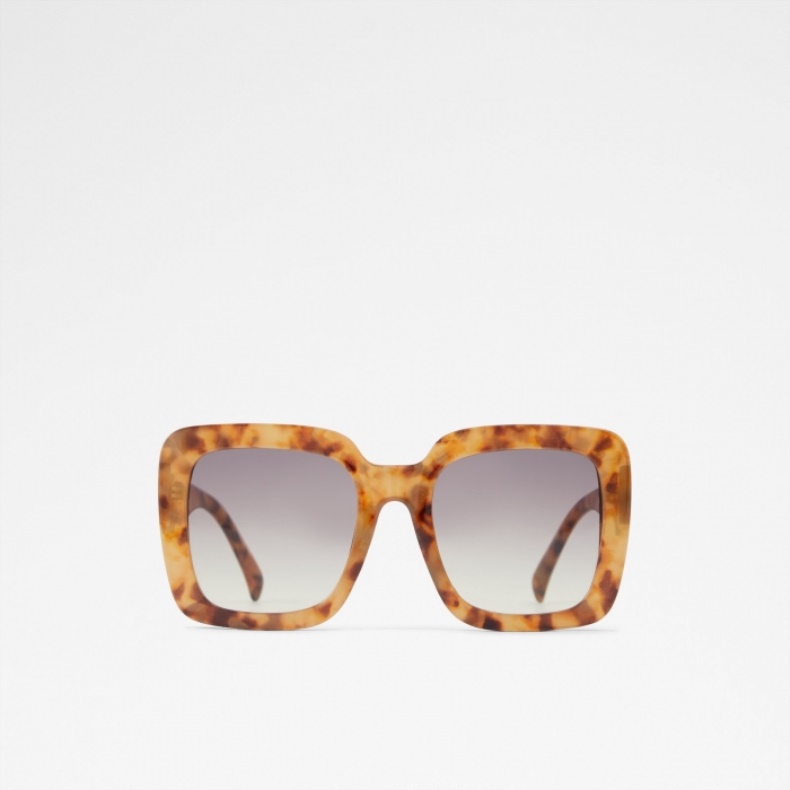 Thalin Solbriller Mode Brun Aldo